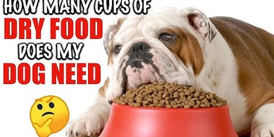 How many cups of food are in a bag of dog food?