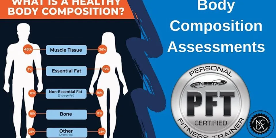 What is body composition is best described as?