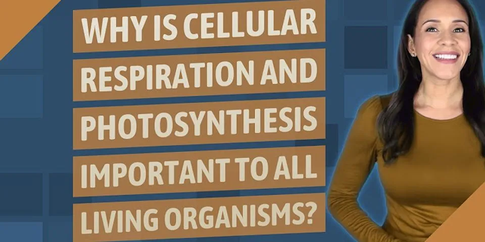 What is cellular respiration and why is it important?